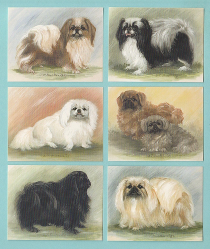 DOGS - PEKINGESE - SET OF L6 CARDS - IMP. PUBLISHING LTD. - 1999 - Picture 1 of 2