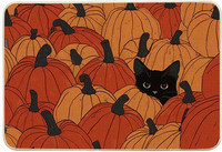 Artoid Mode Schwarze Katze KüRbisse Herbst 40X60 Cm FußMatte