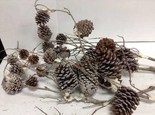 5 Frontgate Christmas Tree Snow Pinecones Natural Garland Picks Spray Holiday 