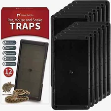 LULUCATCH Super Heavier Mouse Traps 12 Pack for Mice & Snakes with Non-Toxic Glu