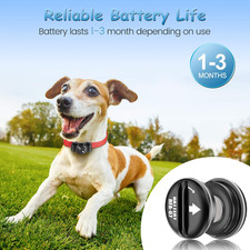 RFA-67 6 Volt Replacement Dog Collar Batteries, Ultra Fit PIF-300 RF300 PIF-2...