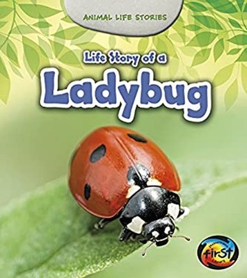 Life Story of a Ladybug Hardcover Charlotte Guillain