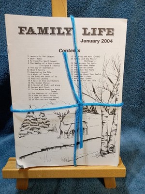 2004 Full Year Family Life Amish Published Magazines 11 Issues
