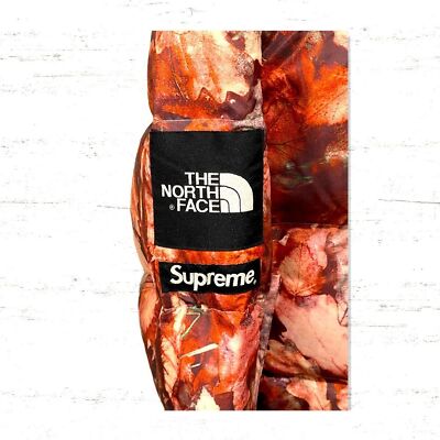 Rare Supreme X The North Face Nuptse “Leaves” FW16 700 Fill Ski