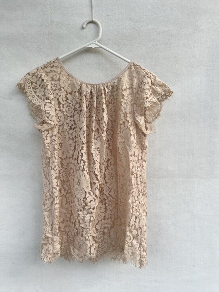 🦋 JOIE PINK NUDE FLORAL LACE Shirt Blouse Tee Top S 10