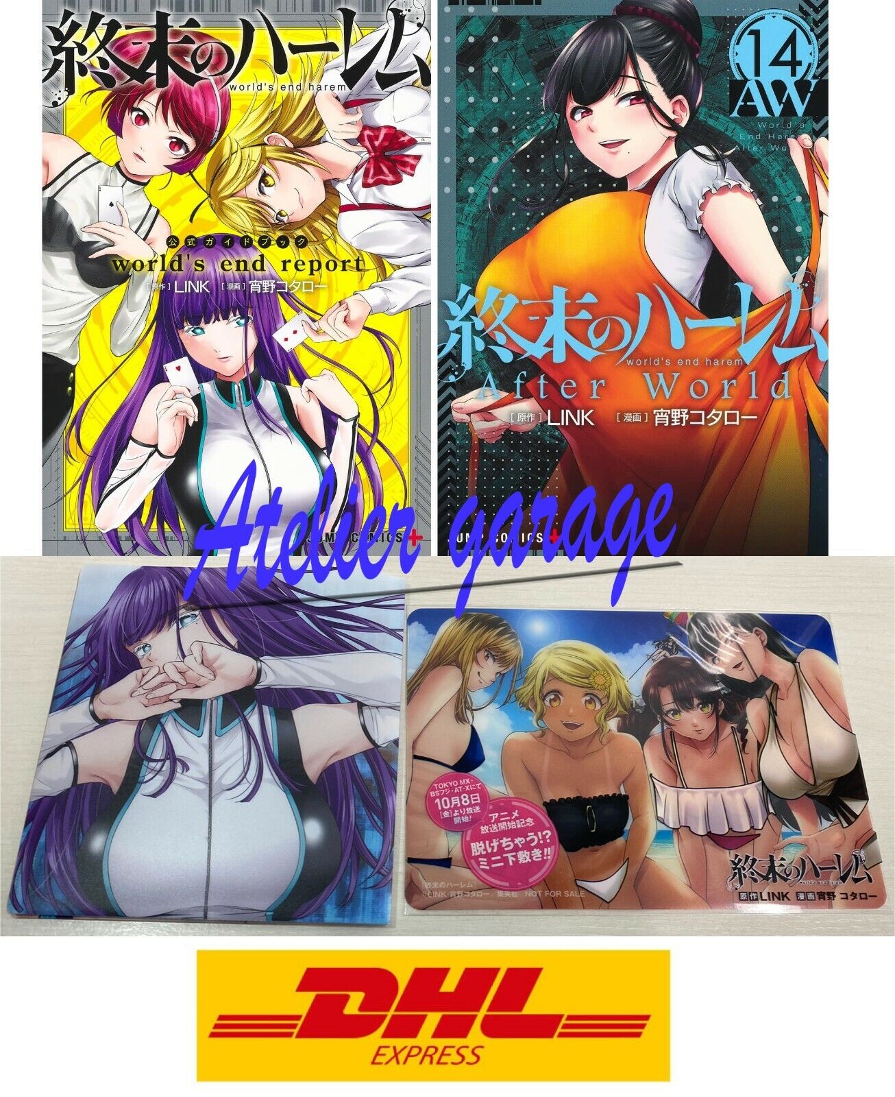 World's end harem (Vol. 10) by Link