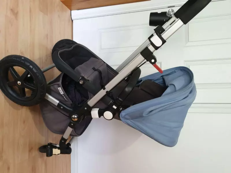 bugaboo cameleon 3 capsule