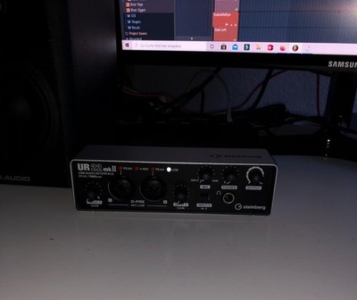 Steinberg ur22 mkII