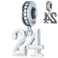 24th Anniversary Dangle Charms fits  Valentines Bracelet, 925 Sterling Si