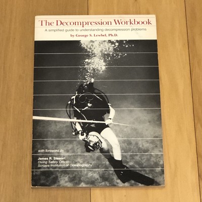 Decompression Workbook by Lewbel, George S.
