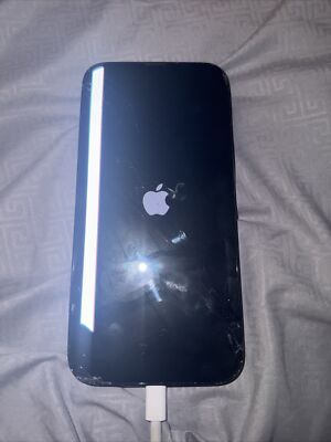 Apple iPhone 13 Pro Max - 128 GB - Alpine Green (Unlocked) (Dual