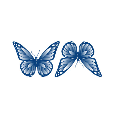 2er Set Schmetterling Semi Permanent Tattoo Wasserdicht hält 1 - 2 Wochen Körperkunst