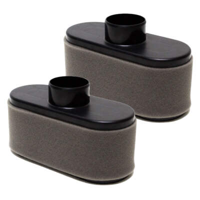 2PK Air Filter for MIU12555 4164631 21548000 603059 FS600V FS730V FR651V
