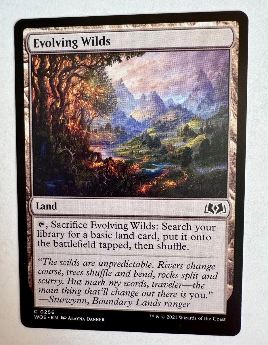 x1 Evolving Wilds WOE MTG 256 COMMON M/NM 1x | eBay