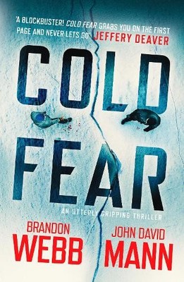 Cold Fear: 2 (The Finn Thrillers, 2), Mann, John David