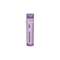 Phosphorus 200ck 80 Plts on sale Phosphorus 200ck 80 Plts on sale