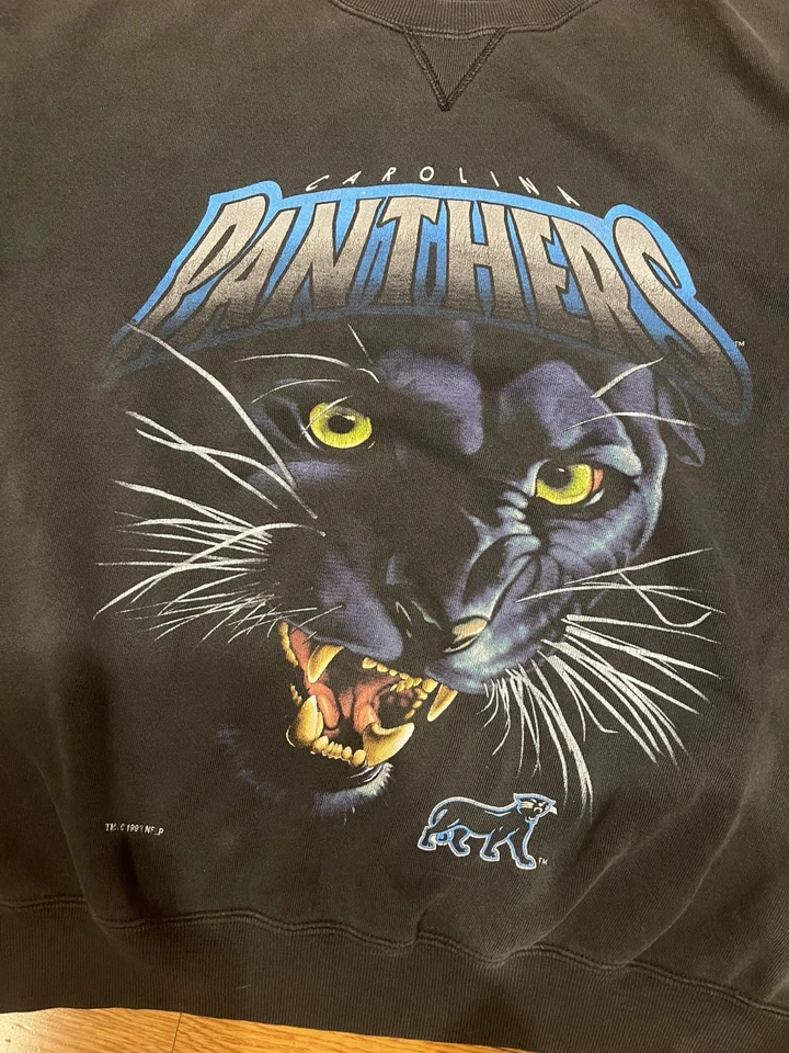 Sudadera De Colección Carolina Panthers Para Hombre Talla L Negra Salem Ropa Deportiva NFL 90s Foto 2 de 4