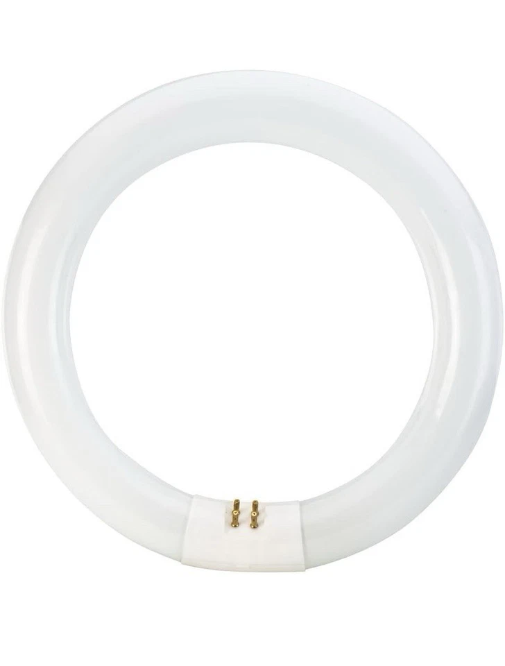 2 Pack Philips Cool White T9 22 Watts 8 Inch Circline 4 Pin Base Light Bulb - Image 4 of 4