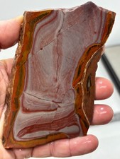 Disaster Peak Wonderstone slab Cabbing Lapidary Collecting Combo Ship Avail
