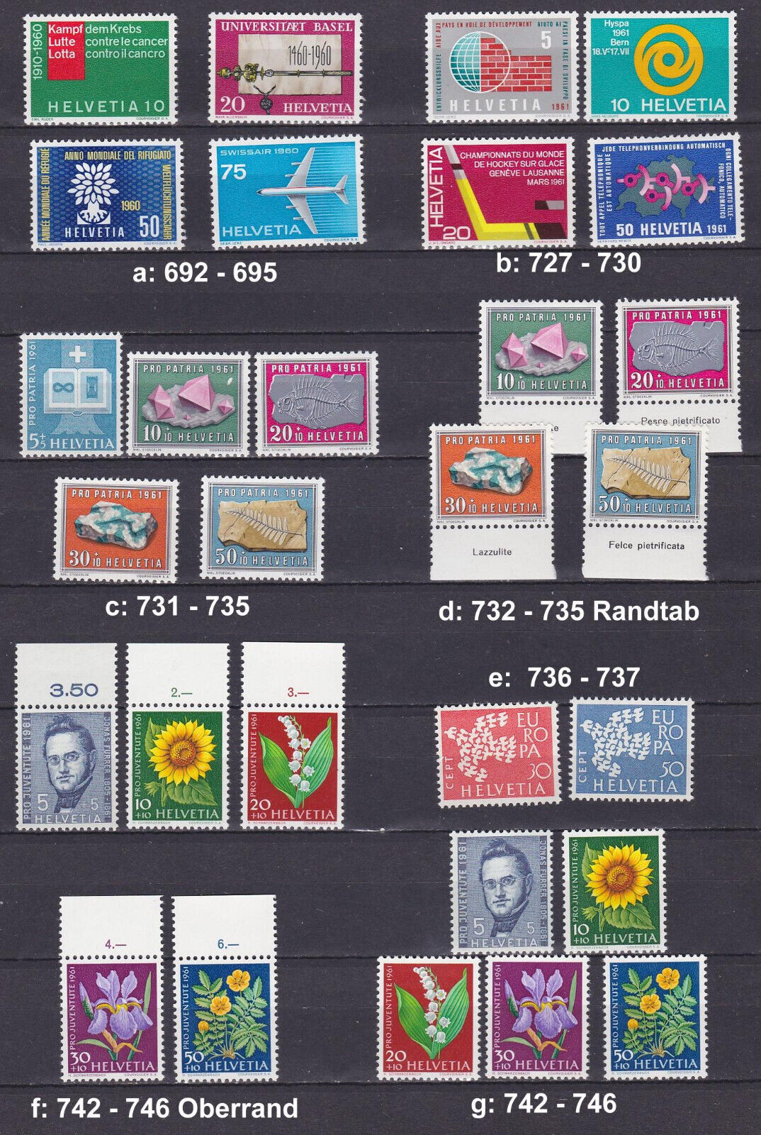 Foto 1 di 1