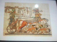 Egyptian Original Paparus Paper Picture Brought Back From Egypt Framed (Large)