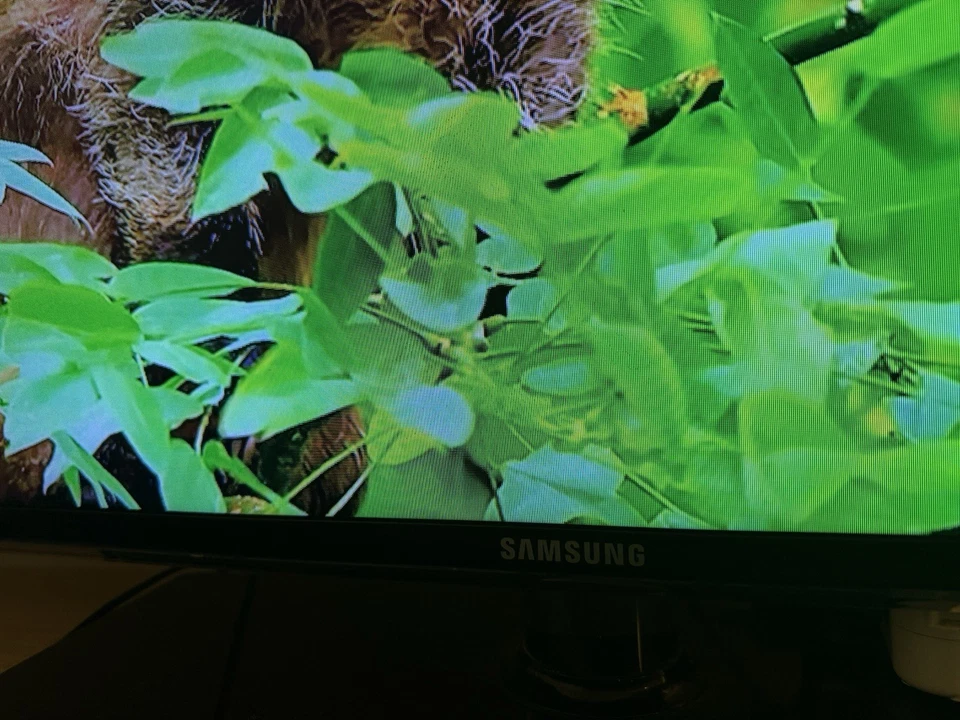 TV LED SAMSUNG 46 - Immagine 3 di 4