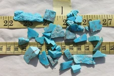 Kingman Sleeping Beauty Turquoise Stabilized Mixed Size Gemstone Not Drilled 1oz