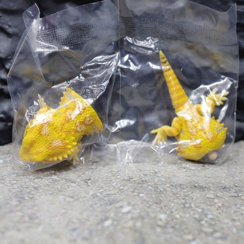 Bandai Gashapon Bearded Dragon & Armadillo Lizard Action Figure Complete Set - Picture 14 of 22