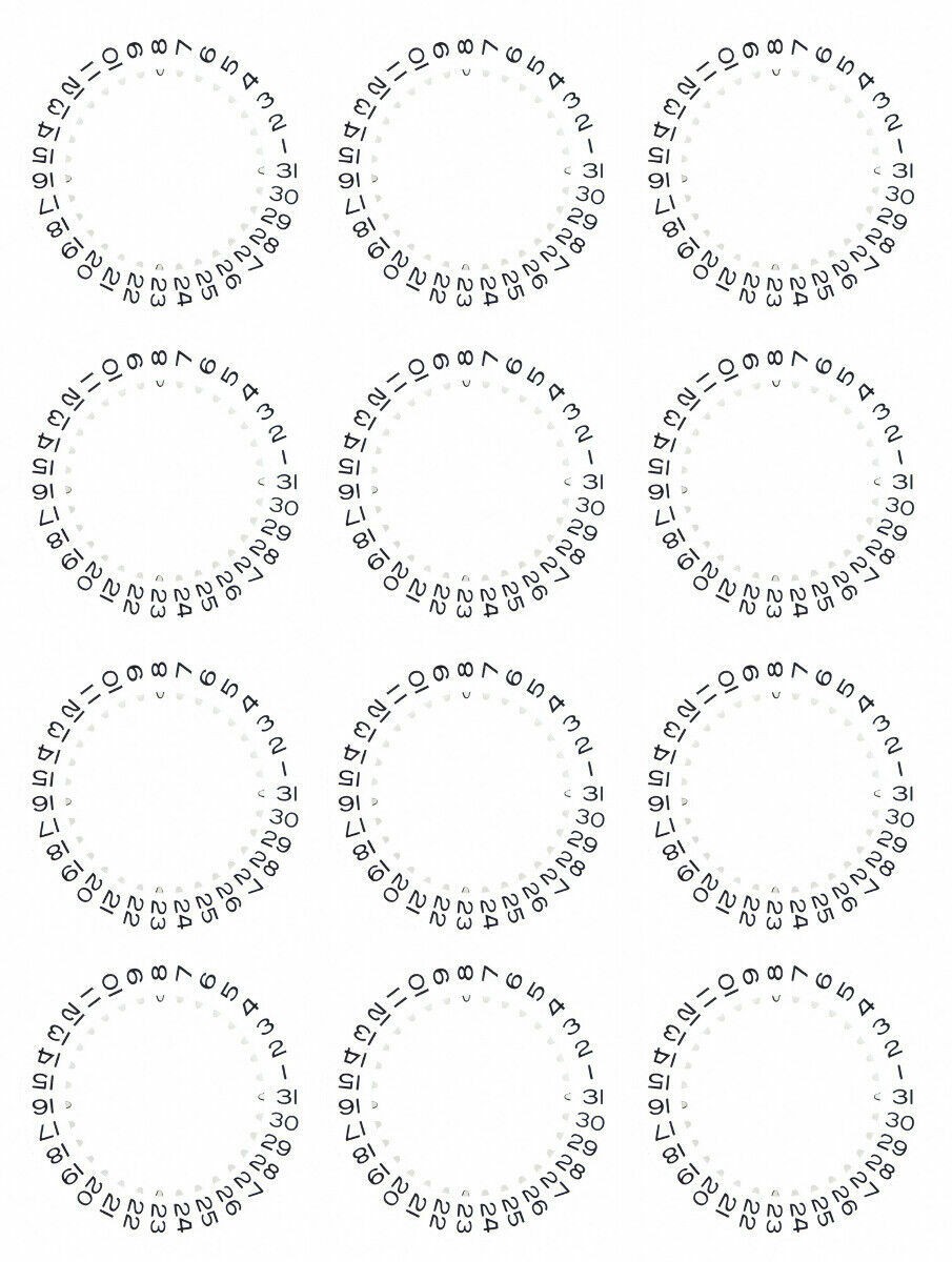 12 DATE DISC FOR ROLEX DATE, DATEJUST SUBMARINER SEADWELLER 3135/3155 WHITE