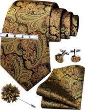 Tie Set for Men Necktie and Pocket Square,Tie Clip,Cufflinks, Lapel Pin Sets wit