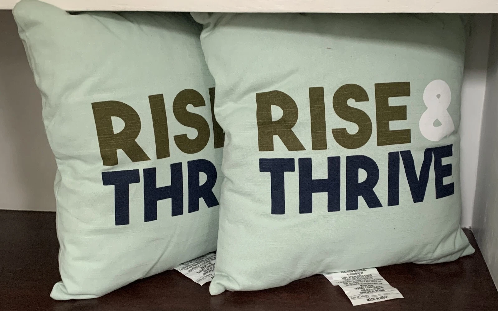 Room Essentials 2 lot green with RISE & THRIVE graph Throw/Toss Pillows 18"X 18"