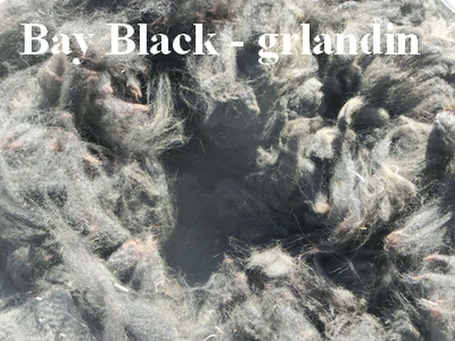 Alpaca Huacaya  Raw Unprocessed  Fiber -  Bay Black Color Sealed Bagged - Image 2 of 3
