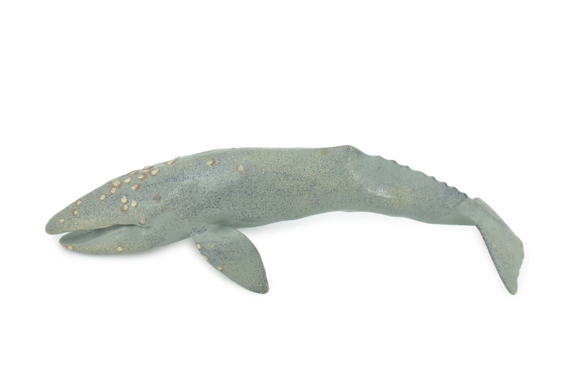 Model Gray Whale, Large Rubber Realistic Figure Replica Toy Gift