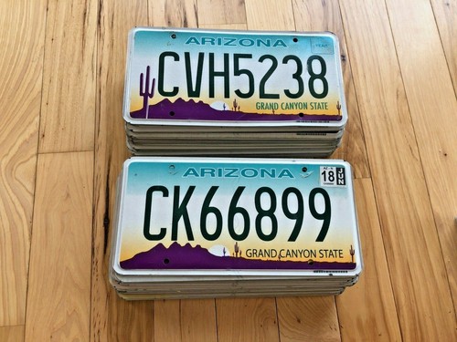 100 Arizona Craft Condition License Plates - Bulk Lot/Wholesale Lot - Picture 2 of 2