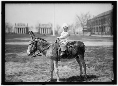 John Hodges,Infant on Donkey,Washington Barracks,District of Columbia,DC,1915,1