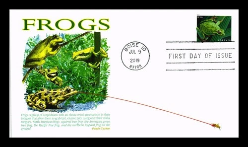US COVER FROGS FIRST DAY ISSUE PANDA CACHET
