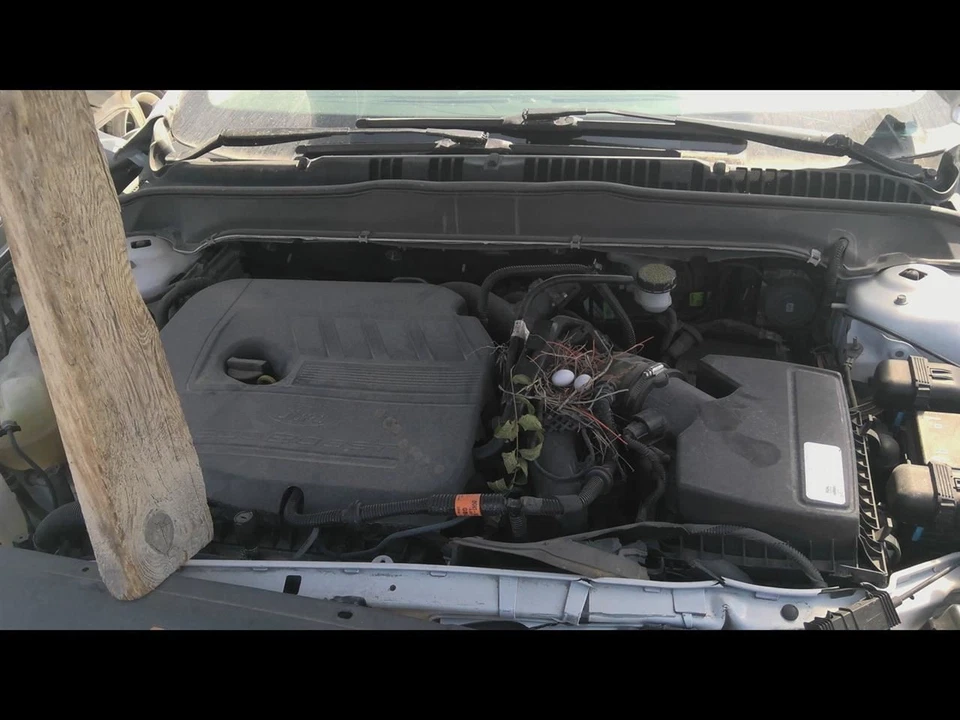 2015 FORD FUSION Fuel Filler Door WHITE - Image 2 of 4