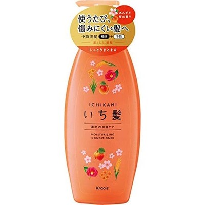 Ichikami dense double moisturizing care conditioner pump 480g