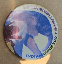 Vintage Indianapolis Zoo Amali Elephant Birth Date 03/06/2000 Button Pin