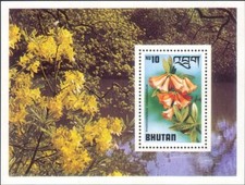 Bhutan 1976 Rhododendron/Flowers/Plants/Nature/Trees 1v m/s (b3354b)