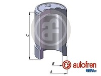 Autofren Seinsa D025351 Kolben, Bremssattel Hinterachse FÜR Toyota