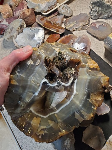 Brazilian Agate Piranha Nodule Banded Lapidary Quartz Crystal 20lbs Uncut ROUGH