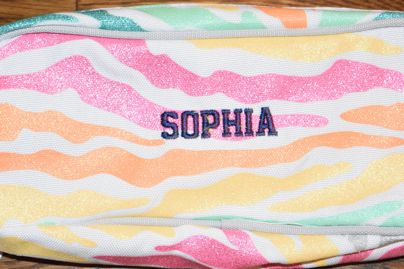 Pottery Barn Kids Rainow Glitter Zebra Pencil Case Sophia Personalization NWT