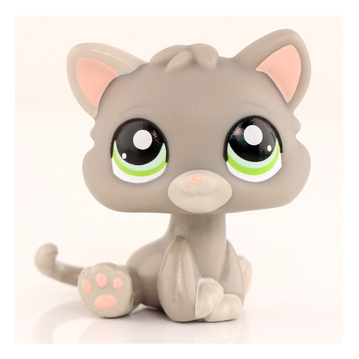 Las Vegas Baby Kittens For Free Near Me Cats In Adoption Near New