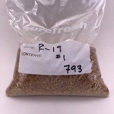 Reichenbach R-019 Gold Topaz 96 COE glass color 986 grams 2 lb 2.8 oz 