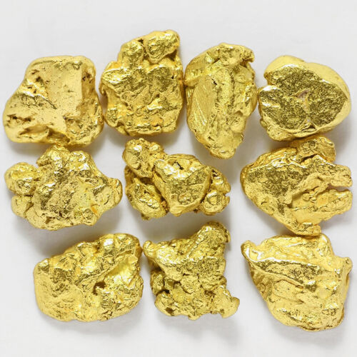 10 pcs Alaska Natural Gold - Size 0.5-1mm - TV Gold Rush Alaska (#.5-2) - Picture 1 of 8