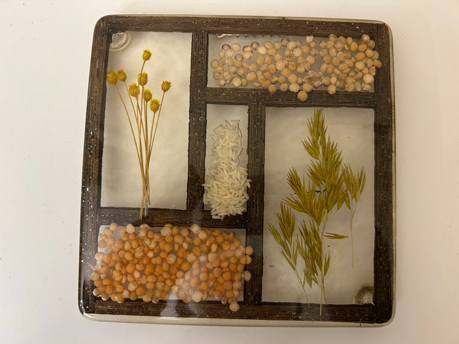 VTG 1960s Wall Hanging Trivet Resin Lucite Acrylic Art Seed Grain Flower Kitchen