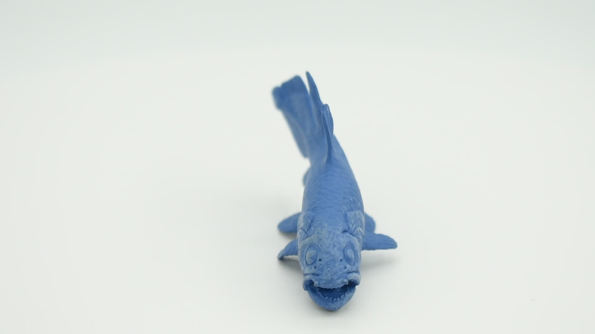Toob Coelacanth Modell – 15 Cm Lang, Detailgetreues 'lebendes Fossil' Aus Der Tiefsee