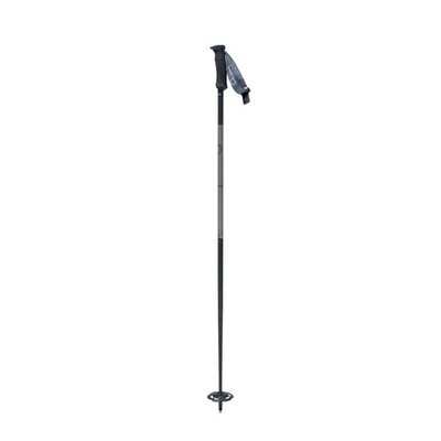 SWIX Plus Line Dark Skistöcke Freerider