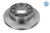 2X Meyle 215 523 0010 Bremsscheibe Hinten L/R Passt Zu: Iveco Daily I, Daily Ii,